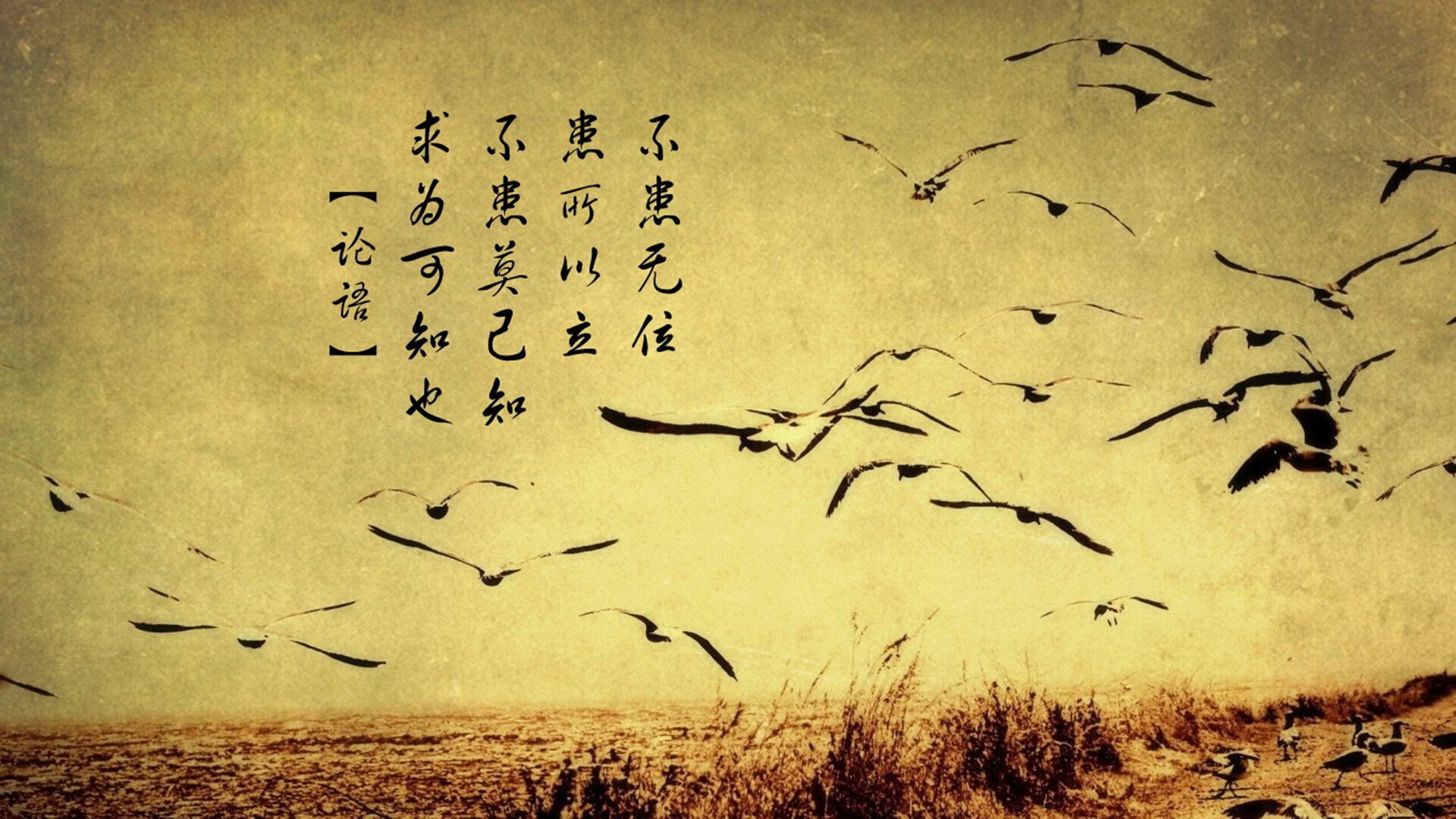 全民健身日活动组织成效与社会影响力分析，全民健身活动形式